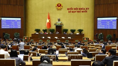 국회는 주제별 감독 및 질의에 관한 결의안을 통과시켰습니다.