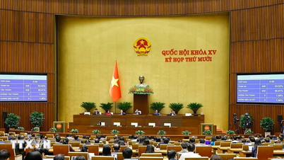 งบประมาณ 423,000 ล้านดองเวียดนาม ถูกจัดสรรให้กับโครงการลดความยากจนในพื้นที่กลุ่มชาติพันธุ์ต่างๆ