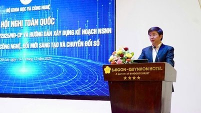 Примерно 95 триллионов донгов из бюджета будет выделено на науку и технологии.