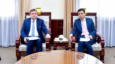 Kami mengusulkan agar OIF mempromosikan kerja sama ekonomi antara Vietnam dan negara-negara berbahasa Prancis.