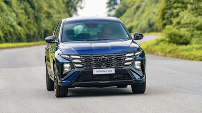 TCグループが2025年11月のヒュンダイの販売結果を発表。