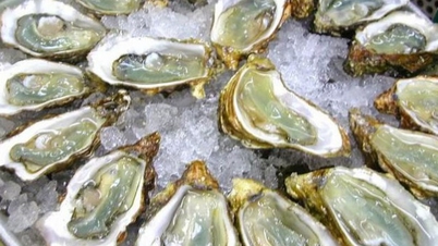 מנות טעימות ומזינות העשויות מצדפות.