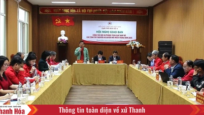 2025年までに、中部高原州と中部沿岸州の赤十字社は、200万人以上の脆弱な人々を支援する予定です。