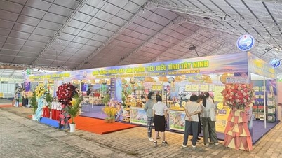 タイニン省の企業45社がホーチミン市で開催される2025年農村産業博覧会に参加します。