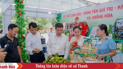 需要と供給を繋ぐことで、タインホア省農産物のさらなる普及の推進力となる（最終回）：農産物市場の交流と拡大の「架け橋」