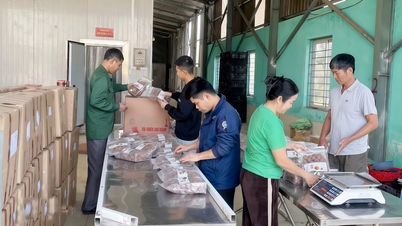 バクニン省：協同組合管理慣行の革新。