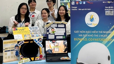 젊은이들은 자신이 좋아하는 것을 바탕으로 사업을 시작한다.