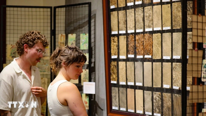 ハノイ・クリエイティブ・デザイン・フェスティバル2026での多感覚体験