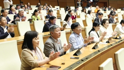 ہنوئی نے بڑے اور اہم منصوبوں پر عمل درآمد کے لیے خصوصی طریقہ کار اور پالیسیوں کو حتمی شکل دی ہے۔