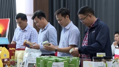 クアンガイ省は、2025年の第2段階で33の潜在的なOCOP製品を評価します。