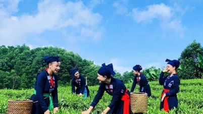 Програма 1322 стимулює місцеві органи влади підвищувати продуктивність та якість.