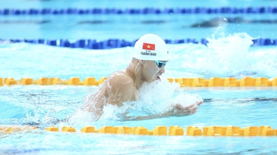 Waiting for 'Frog Prince' Pham Thanh Bao to win more gold medals for Vietnamese swimming.