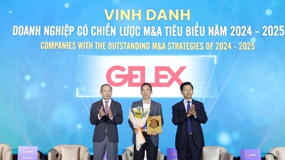 Skupina GELEX byla oceněna jako společnost s vynikající strategií fúzí a akvizic pro období 2024–2025.