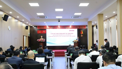 VRG ve Agribank kapsamlı bir iş birliği anlaşması imzaladı: Sürdürülebilir kalkınmayı hedefleyerek, sinerjik güçlerden faydalanmayı amaçlıyorlar.