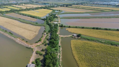 Ефективність моделі сільськогосподарського виробництва «в гармонії з природою».