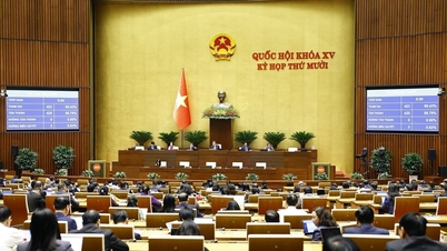 האסיפה הלאומית הצביעה על מדיניות ההשקעה של תוכנית היעד הלאומית בנושאי בריאות, אוכלוסייה ופיתוח.