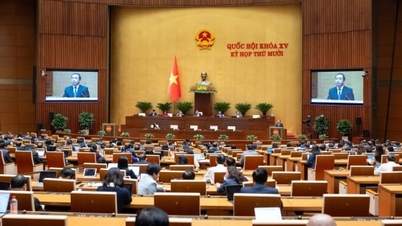 Die Nationalversammlung hat das Gesetz zur Änderung und Ergänzung des Gesetzes über Geologie und Mineralien verabschiedet.