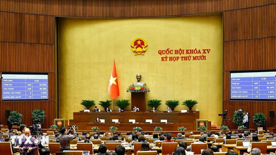 Delegat Zgromadzenia Narodowego: 10. sesja 15. Zgromadzenia Narodowego jest sesją nadzwyczajną.