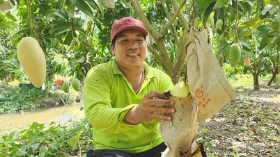 مقصد یہ ہے کہ کم از کم 6 کمیون نئے دیہی علاقوں کے معیار پر پورا اتریں۔