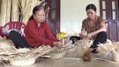 Az én Tinh An-i községem: A modellek diverzifikálása és fenntartható megélhetés megteremtése a szegénység csökkentése érdekében.