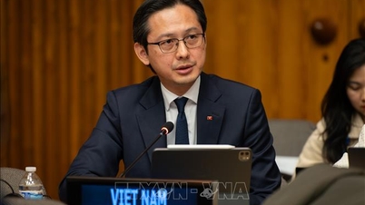 וייטנאם מעריכה את התמיכה בזמן של קרן סיוע החירום המרכזית של האו"ם.