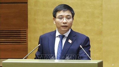 צמצום רישיונות עסק עבור 38 מגזרי השקעה ועסקים מותנים.