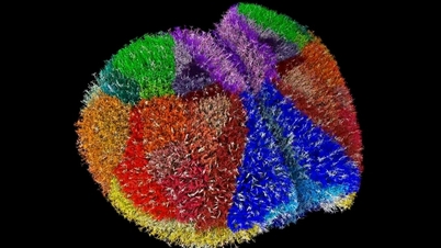 سپر کمپیوٹر ایک انتہائی حقیقت پسندانہ ورچوئل دماغ بناتے ہیں۔