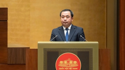 국회는 농업 및 환경 분야의 15개 법률을 개정 및 보완하는 법안을 통과시켰습니다.