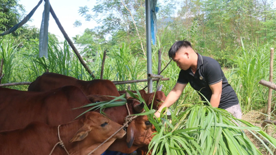 Từ vùng tái định cư thành điểm sáng kinh tế mới ở cửa ngõ Tuyên Quang