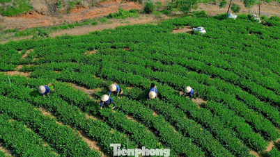 الهروب من الفقر في أرض صعبة