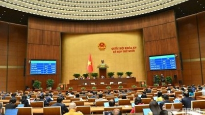 Điều chỉnh, cắt giảm nhiều ngành nghề đầu tư kinh doanh có điều kiện