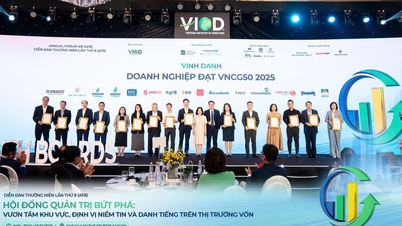 'Về đích' sớm, TNG hướng đến mục tiêu tăng trưởng hai con số