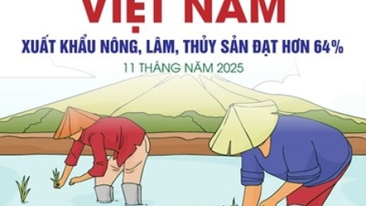 As exportações de produtos agrícolas, florestais e aquáticos ultrapassaram os 64 bilhões de dólares.