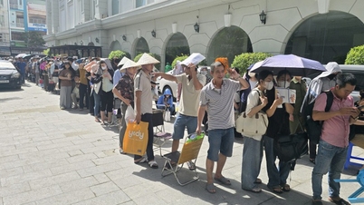 Priorizar habitação social para mulheres com dois filhos: Garantir a implementação eficaz de uma política humanitária.