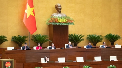 Zgromadzenie Narodowe przyjęło rezolucję w sprawie mechanizmów i polityki rozwoju energetyki krajowej.