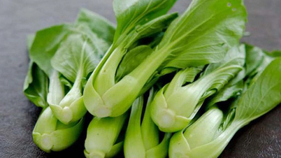 ما هي الأطعمة التي يجب تجنبها عند طهي الملفوف الحلو؟