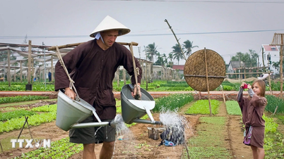 Festival sázení rýže v Hoi An Dong: Smysluplný zemědělský rituál.