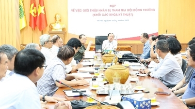 HUBT는 고등교육법에 따라 학교운영위원회를 설립했습니다.