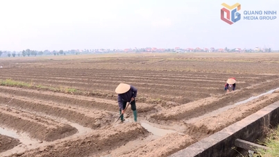 Oddělení Sinh zajišťuje průběh zimní a jarní produkce plodin.
