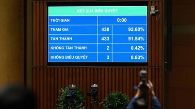 Расширение прав и возможностей города Хошимин посредством пилотной программы создания зон свободной торговли.