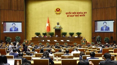 Genom regleringar om momsåterbäring kommer en "flaskhals" för jordbruksföretag att undanröjas.