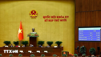 Adunarea Națională a adoptat proiectele de Lege privind Transformarea Digitală și Legea privind Rezervele Naționale.