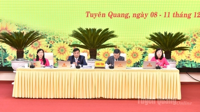 Zamknięcie drugiej sesji XIX Rady Ludowej Prowincji Tuyen Quang