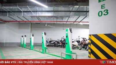 Ketua Jabatan Pembinaan Hanoi: Membina stesen pengecas kenderaan elektrik tidak boleh mengikut model monopoli