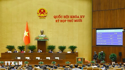 Постановление об устранении трудностей и препятствий в реализации Земельного закона