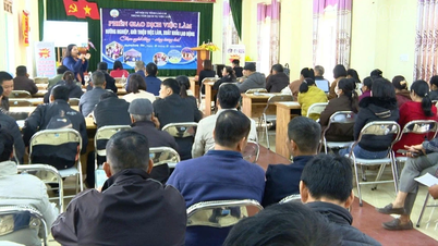 The Central Ward provides advice on domestic job opportunities and overseas employment under contract.