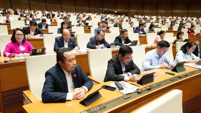 La ville d'Hô-Chi-Minh-Ville bénéficie d'une série de mécanismes spéciaux, créant ainsi l'impulsion nécessaire pour devenir une mégapole.