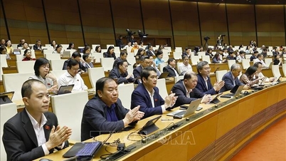 Jeolojik ve mineral kaynaklar ile ulusal rezervlere ilişkin yasal çerçeve