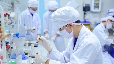 Hanoi: Extinderea mecanismelor speciale de sprijin pentru a crea un impuls pentru întreprinderile din domeniul științei și tehnologiei.