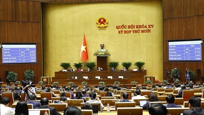 Hanoi, Ho Chi Minh Şehri ve Da Nang için özel mekanizmalar oluşturan bir dizi kararla yeni bir ivme kazanıldı.